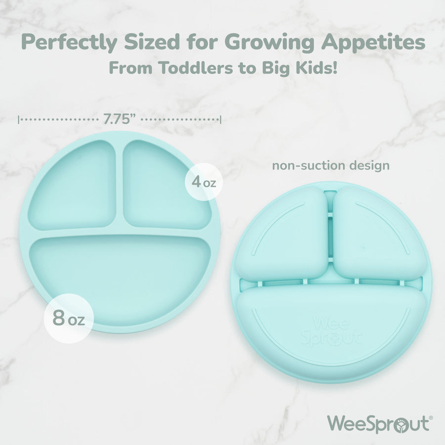 Kids Divided Plates