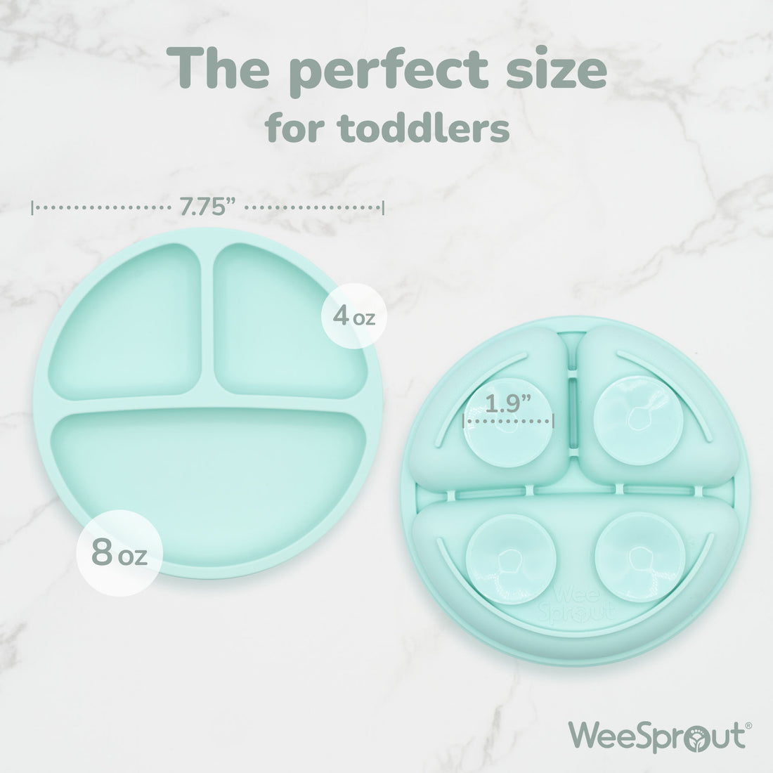 Baby or Kids Divided Suction Plates With Lids